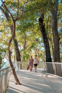 Boardwalk to Noosa National Park