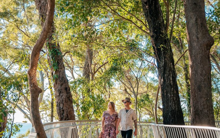 Boardwalk to Noosa National Park